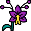 Orchid icon 64x64