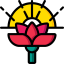 Lotus icon 64x64