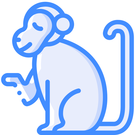Monkey 상