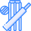Cricket icon 64x64