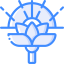 Lotus icon 64x64