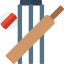 Cricket 图标 64x64