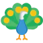 Peacock 图标 64x64