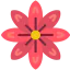 Marigold 图标 64x64