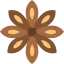Anise 图标 64x64