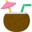 Coconut icon 64x64