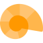 Fossil icon 64x64