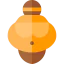 Venus icon 64x64