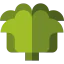 Lettuce icon 64x64