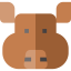 Pig icon 64x64