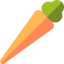 Carrot icon 64x64