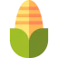 Corn icon 64x64