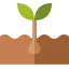 Seed icon 64x64