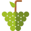 Grapes icon 64x64
