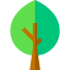 Tree icon 64x64
