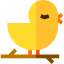 Bird icon 64x64