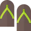 Flip flop icon 64x64