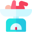 Baby weight icon 64x64