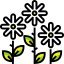 Flowers icon 64x64
