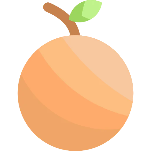 Orange icon