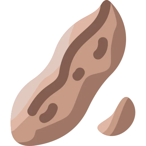 Peanut icon