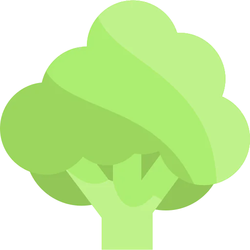Broccoli icon