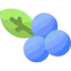 Blueberries ícono 64x64