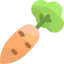 Carrot アイコン 64x64