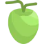 Coconut アイコン 64x64
