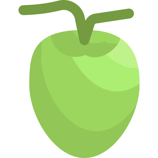 Coconut icon