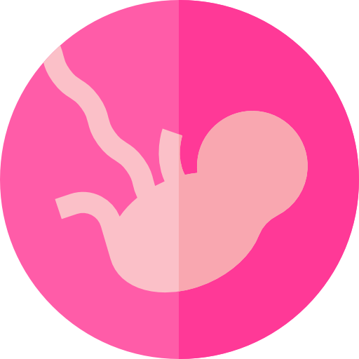Fetus icon