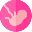 Fetus icon 64x64