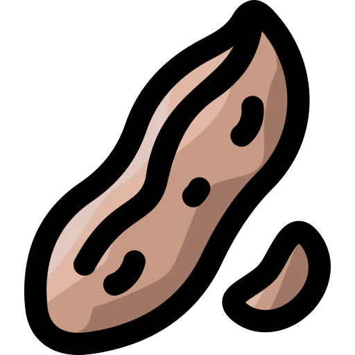 Peanut icon