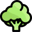 Broccoli icône 64x64
