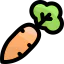Carrot icône 64x64