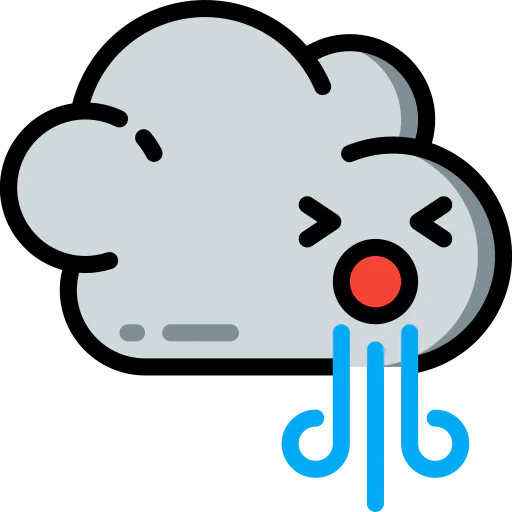 Windy icon