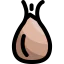 Turnip アイコン 64x64