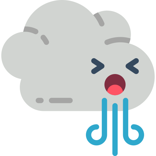 Windy icon