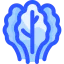 Lettuce icon 64x64