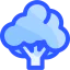 Broccoli icon 64x64