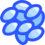 Chia icon 64x64