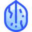 Walnut icon 64x64