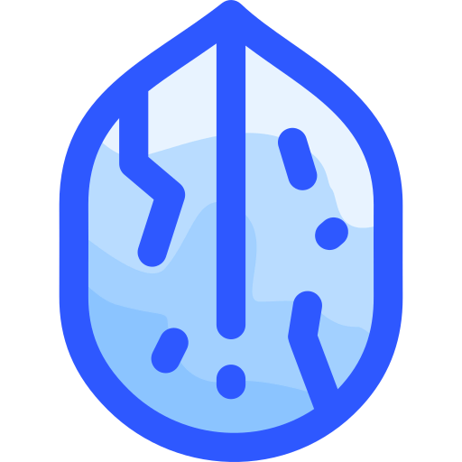 Walnut icon