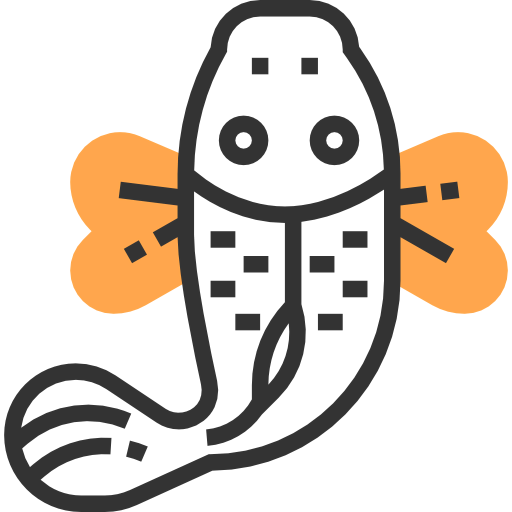 Carp icon