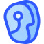 Steak icon 64x64