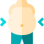 Fat icon 64x64