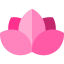 Flower icon 64x64