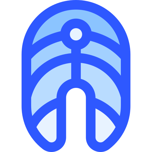Salmon icon