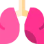 Lungs icon 64x64