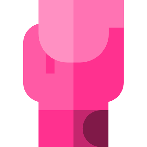 Boxing glove icon